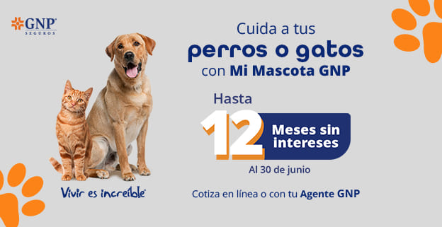 Cotiza tu seguro de Mascotas (banner)