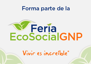 portada feria ecosocial