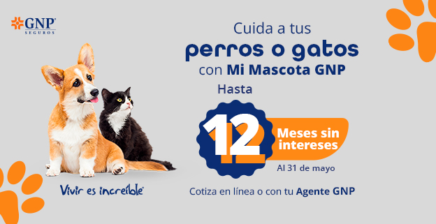 Cotiza tu seguro de Mascotas (banner)