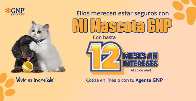 Cotiza tu seguro de Mascotas (banner)