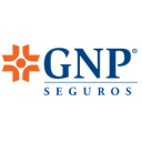 Grupo Nacional Provincial (GNP) Logo